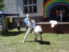 dscf2009